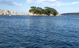 記事を見る