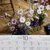 10月〜。。。