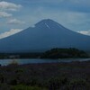 富士山とラベンダーとトマトキュウリ。