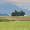 九頭龍川釣行　とにかく16時から