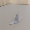 入院６日目