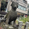 京成船橋にある小さな神社の狛犬がいい味出していてかわいかったです：道祖神社（千葉県船橋市）