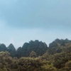 今朝の景色