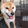 7日メモ