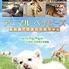 日本初の動物園【上野動物園】にLet's go！？