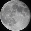 今日は十六夜