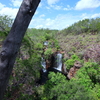 9月22日　Litchfield National Park, Darwin