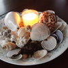 Shell Candle