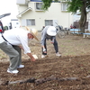 神原町シニアクラブ(神原会)（２７０）　　新設「ありがとう花壇」への種まきと地域の環境美化整備