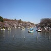 井の頭恩賜公園（東京都三鷹市）