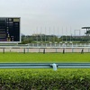 阪神競馬場はテーマパーク