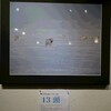 北極冒険家　荻田泰永さんの写真展【代理人投稿】