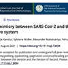 SARS-CoV-2スパイクタンパク質とヒト生殖系タンパク質の分子擬態