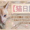 4月24日　至高のケアと魔法の鮭　無添加鮭ジャーキーで猫の美肌・美貌を保つ