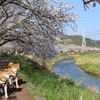 笑顔の日曜日