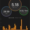 最高のお天気の日曜日！