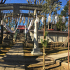  神社-427-桜川御嶽神社      2021/12/31 