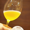 TAP①開栓：足柄茶の《ほうじ茶茶葉》を使用、独特な味わいが癖になる【セゾン】をグラウラーorクラウラーorタンブラーの量り売りで！『YGGDRASIL Ashigara-Cha~SAISON with ROASTED GREEN TEA~』