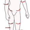 老けて見られるのは姿勢の影響！　−知っておきたい身体の連鎖−