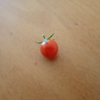 1/29に収穫したトマトとなってるトマト