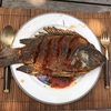 たまには一人でこっそり焼き魚ランチ