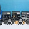 2024/9/28の新入荷です。