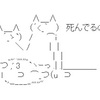 8月7日　荒れ狙いのエルムS
