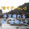 【ロードバイク】手足痺れる、冬の雨、金剛山ライド