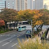 （紹介：植物）紅葉🍁が綺麗な新宿区立、新宿中央公園の状況を紹介します