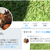 ブログとツイッターの活動について／12月の振り返り