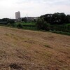 元荒川の河川敷の草刈後