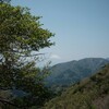 【登山】大山登ってきました！【日帰り】