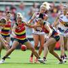 なぜ AFLW女性アスリートの前十字靭帯は男性より多いのでしょうか