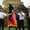 オールカマー（GII) ゴールドアクターが得意の中山で秋初戦を完勝 「競馬レース結果ハイライト」2016年≪競馬場の達人,競馬予想≫