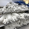 寝る間も惜しまない