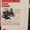 『シッダルタ』ヘッセ　手塚富雄