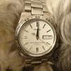 犬と腕時計