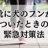 靴に犬のフンがついたときの緊急対策法