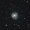 Ｍ８３：うみへび座の渦巻銀河