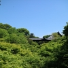 迫力満点！「藤森神社 駈馬神事」