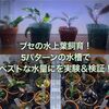 ブセの水上葉飼育、5パターンの水槽でベストな水量にを実験＆検証！