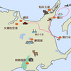 再び北海道に行ってきた その2 （羅臼、野付半島）