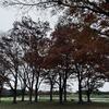 「人生は晴れのち曇り」