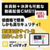 動画配信をスマートに！「ピッパサック（PippaSack）」無料トライアルから本契約までの全手順