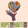 『Hope for Haiti Now』