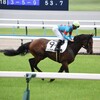 【一口馬主／ベイステート】力は出し切った！
