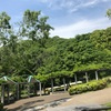 【子連れ】関西近郊の公園へお出かけ～神戸総合運動公園～