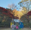 六甲ミーツアート 六甲高山植物園