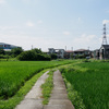 府中市内を流れる西府用水を巡る：四谷エリア①