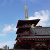 四天王寺・秋の大古本祭り（2024）で買った本